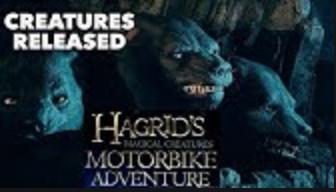 Hagrid's Magical Creatures Motorbike Adventure - pre-show (2019)